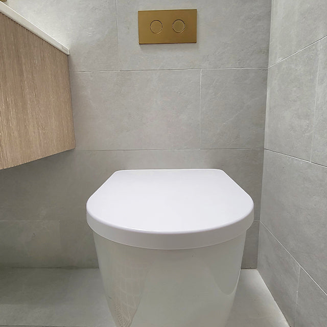 Caroma Invisi Series II Round Dual Flush Plate & Buttons Brushed Brass.
The Blue Space x Style Source Book Bathroom Reno - Sammy