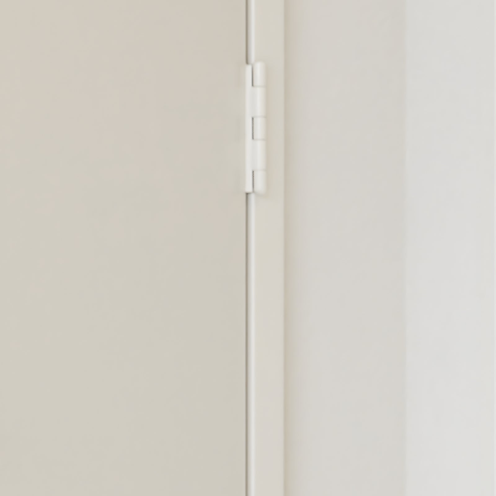 Zanda Butt Hinge Fixed Pin 100 x 100mm White - The Blue Space