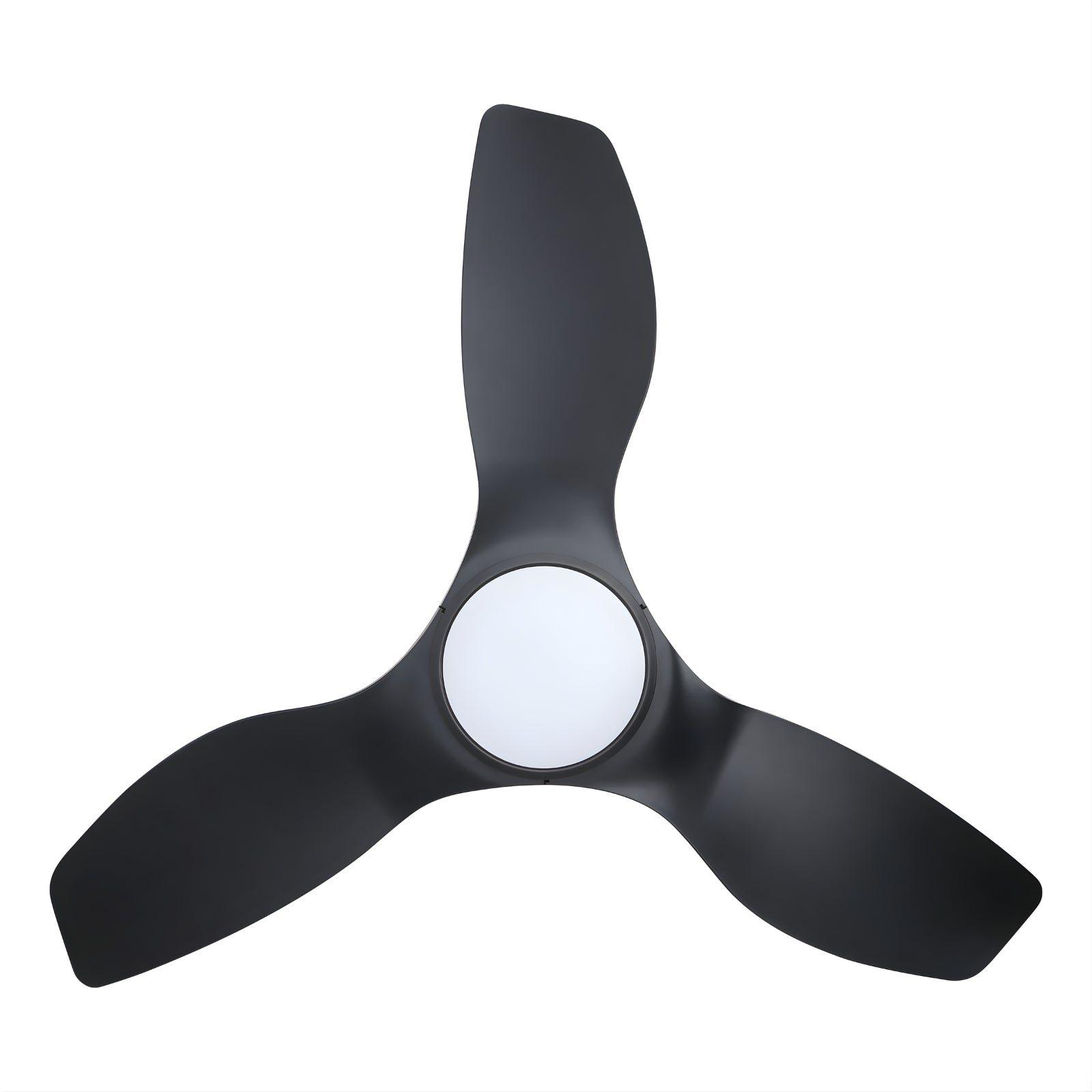 Blades Eglo Surf 40 DC Ceiling Fan with LED Light Black 20789302 - The Blue Space