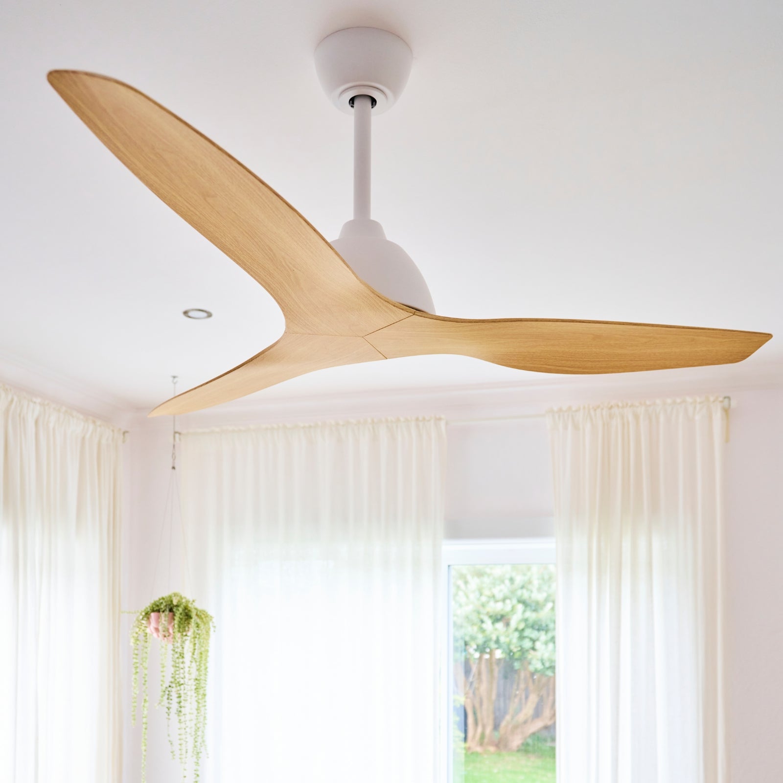 Ceiling Fanco Breeze 52'' (132cm) AC Ceiling Fan - White and Beechwood F0100/121B - The Blue Space