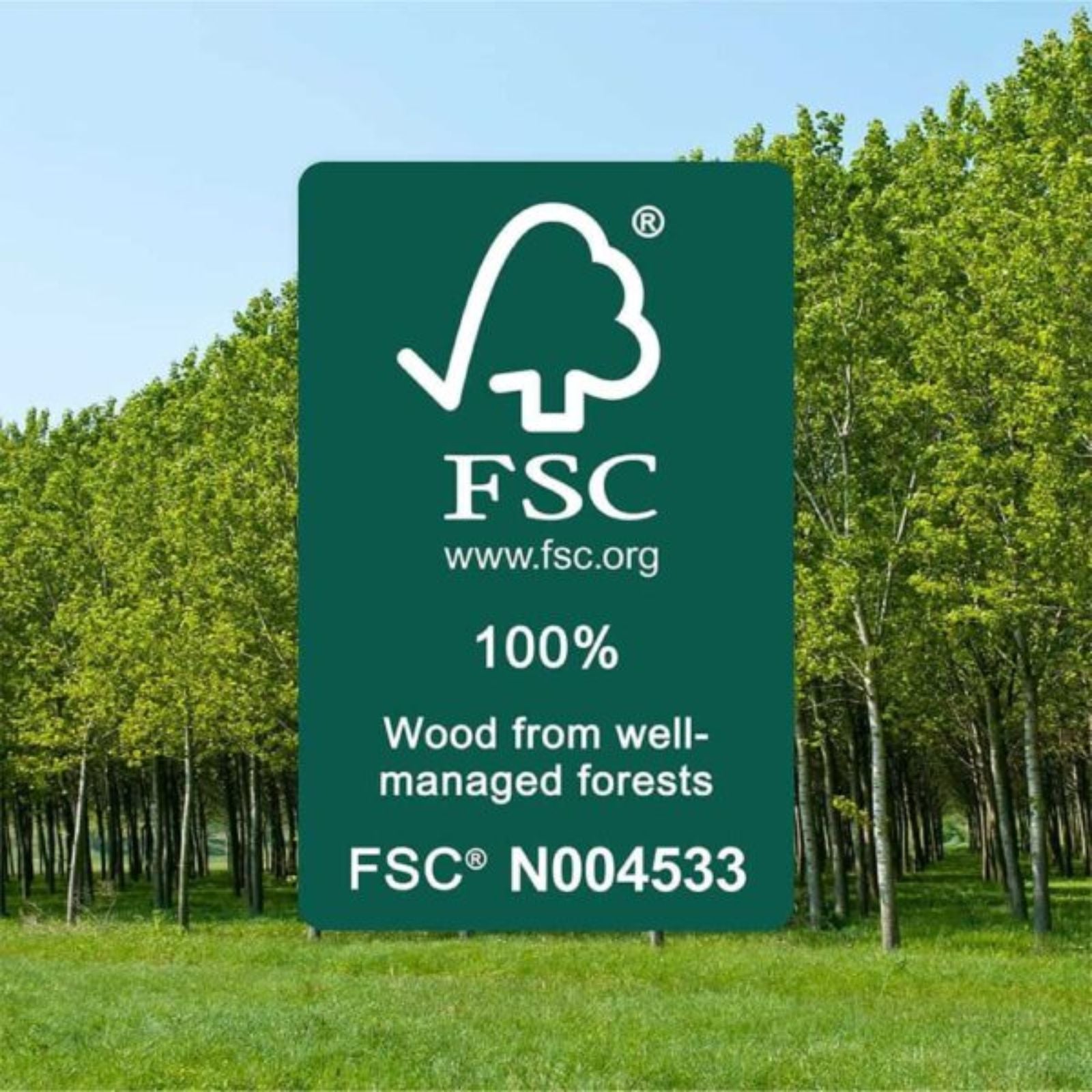 FSC Fanco EarthFirst Gaia 48" (122cm) DC Ceiling Fan with Base Cap- Ecru and Natural Timber F2201/619A - The Blue Space