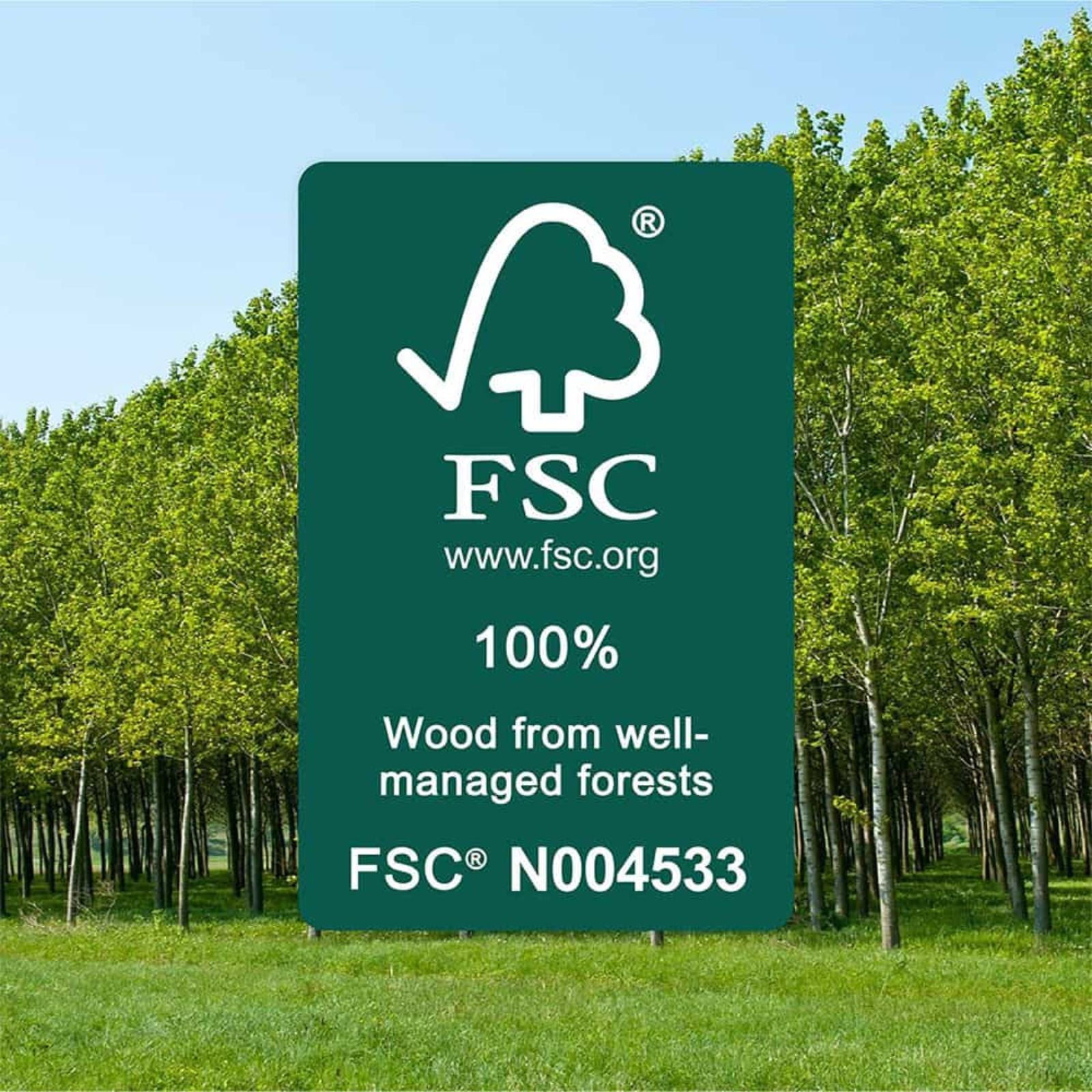 FSC Fanco EarthFirst Wynd 60'' (152cm) DC Ceiling Fan with Base Cap- Ecru and Natural Timber F2321/619A - The Blue Space