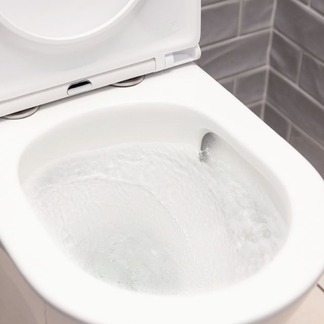 Fienza Tono Tornado Flush Back-to-Wall Toilet Suite With Slim Seat R&T Internal - P-Trap