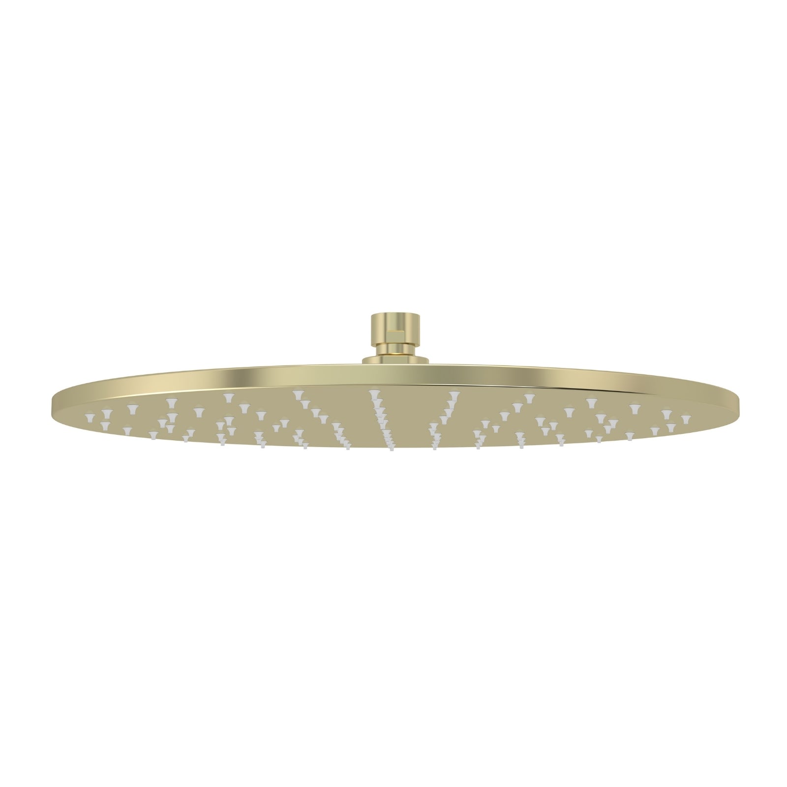 Front 1 Meir Round Shower Rose 300mm Tiger Bronze MH06N-PVDBB - The Blue Space