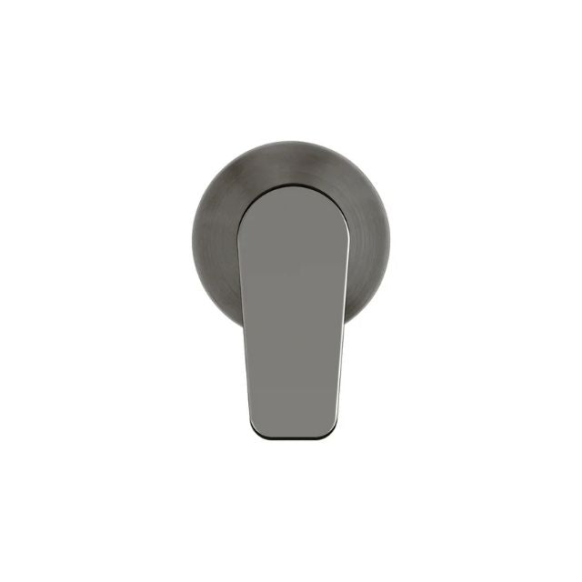 Front Meir Round Wall Mixer Paddle Handle Shadow Trim Kit MW03PD-FIN-PVDGM - The Blue Space