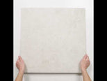 Nimbus Taupe Matte Porcelain Tile P4 600 x 600mm