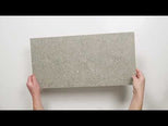 Frankie Light Grey Lappato Porcelain Tile 300 x 600mm