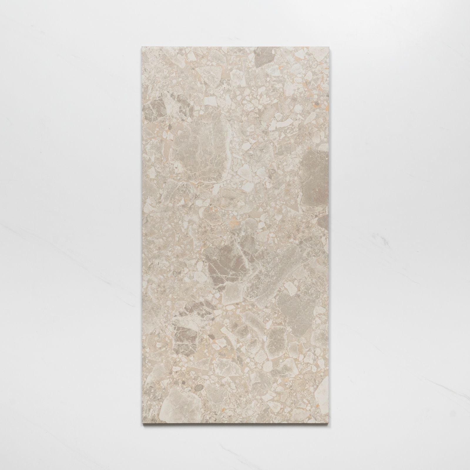 Single No Hand Southside Beige Terrazzo Matte P4 Porcelain Tile 300 x 600mm 36STUBEM - The Blue Space