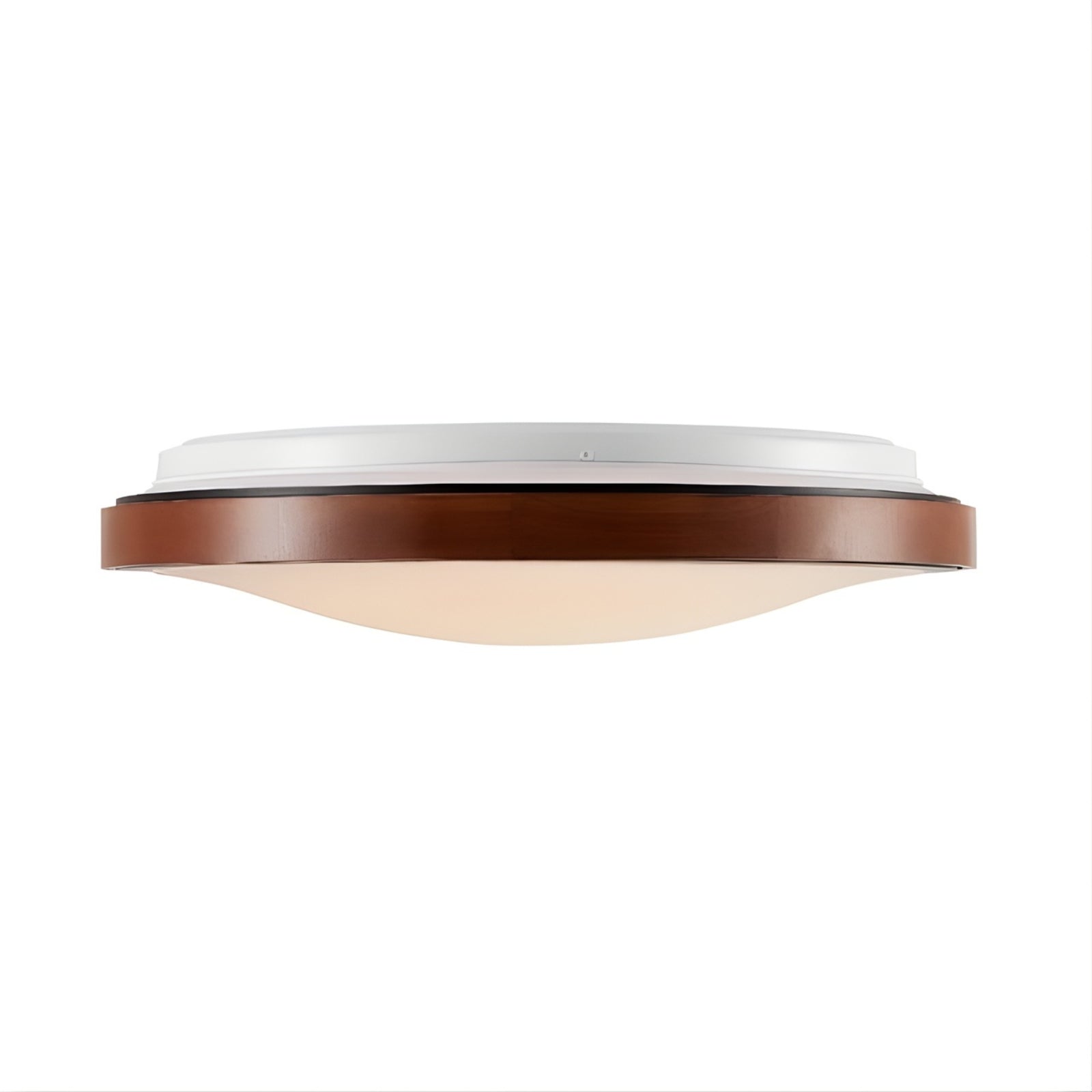 Side Telbix Orlin 24W Led Oyster Walnut ORLINOY42-WD3C - The Blue Space