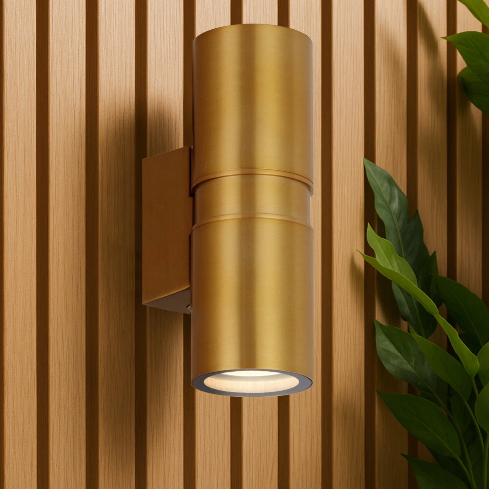 Wall Telbix Sarnel Wall Light Brass SARNELEX2-BRS - The Blue Space