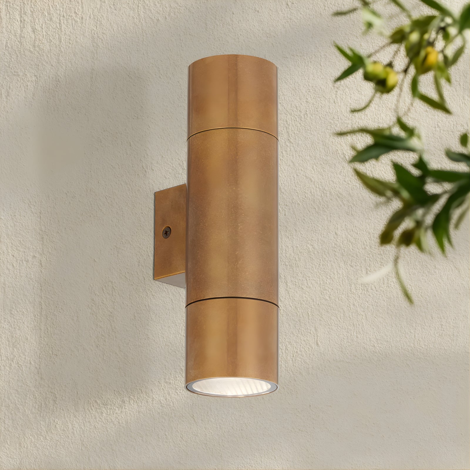 Lifestyle Telbix Walsh Wall light Natural Brass WALSHEX2-BRS - The Blue Space