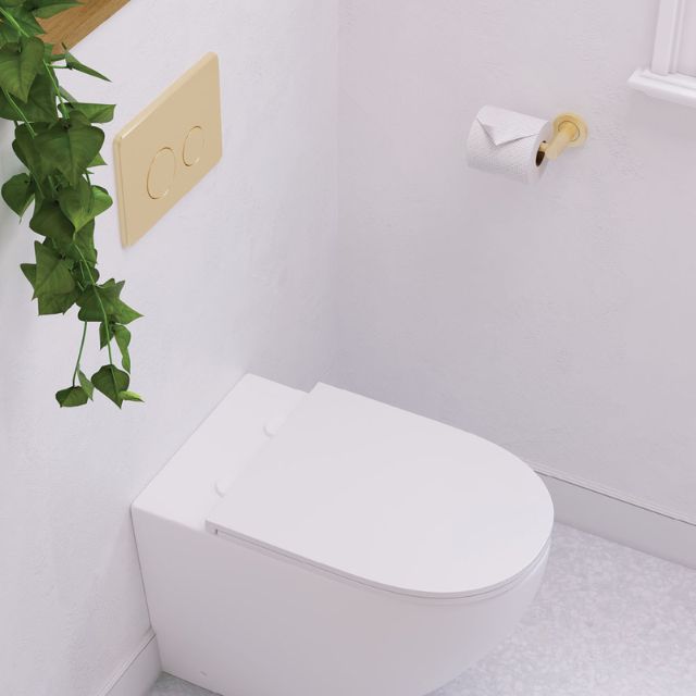 Fienza Kaya Toilet Roll Holder Urban Brass