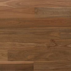 Australian Native Engineered Flooring Spotted Gum - The Blue Space