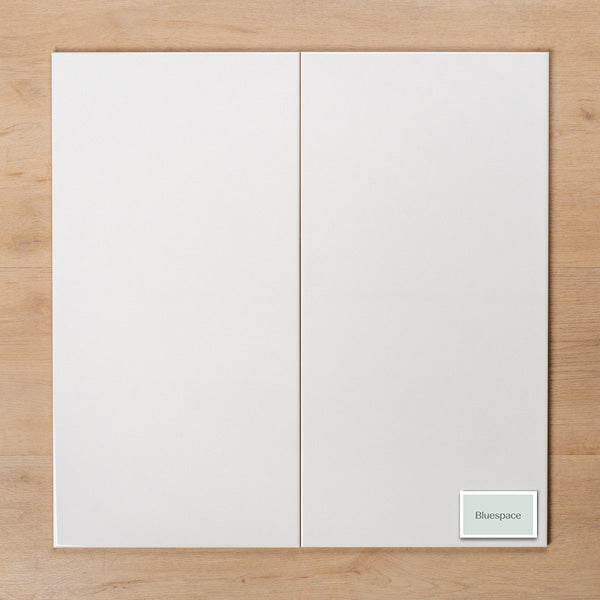 Watsons Gloss White Non-Rectified Wall 300x600mm Double - The Blue Space