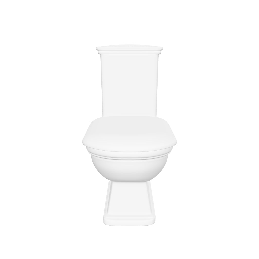 Fienza RAK Washington Close-Coupled Toilet Suite 3D Model - The Blue Space