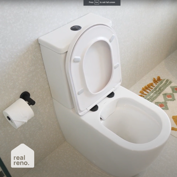 Caroma Urbane II Flush Button Matte Black - The Blue Space Real Reno