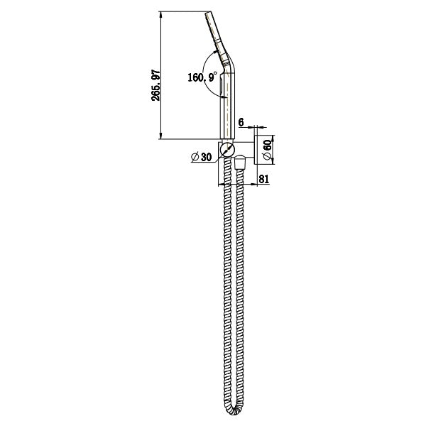 Technical Drawing: Star Round Hand Shower on Bracket - Champagne