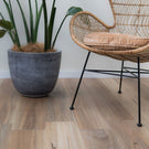 Woodland Engineered Flooring Spotted Gum - The Blue Space