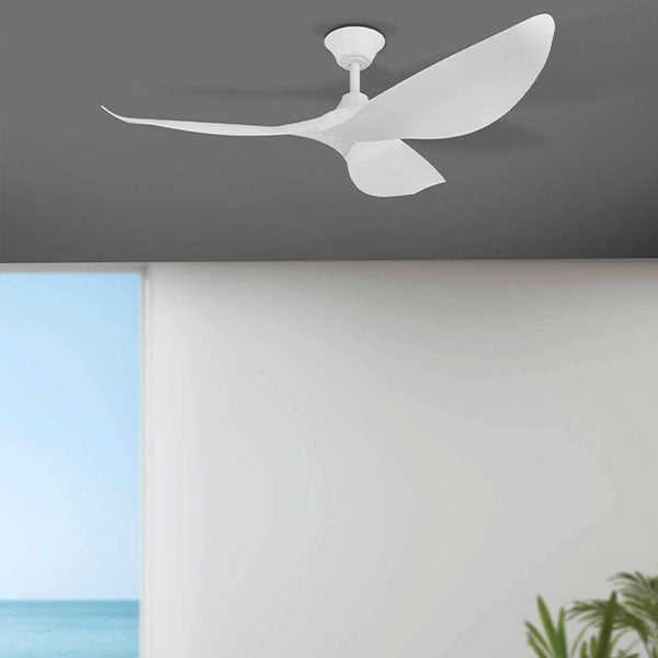 Eglo Cabarita 50" 127cm Ceiling Fan - White with Bamboo Finish - The Blue Space