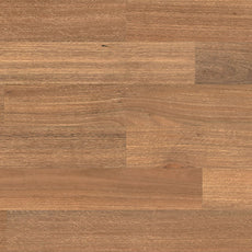 HM Walk Engineered Flooring Spotted Gum Matte | The Blue Space