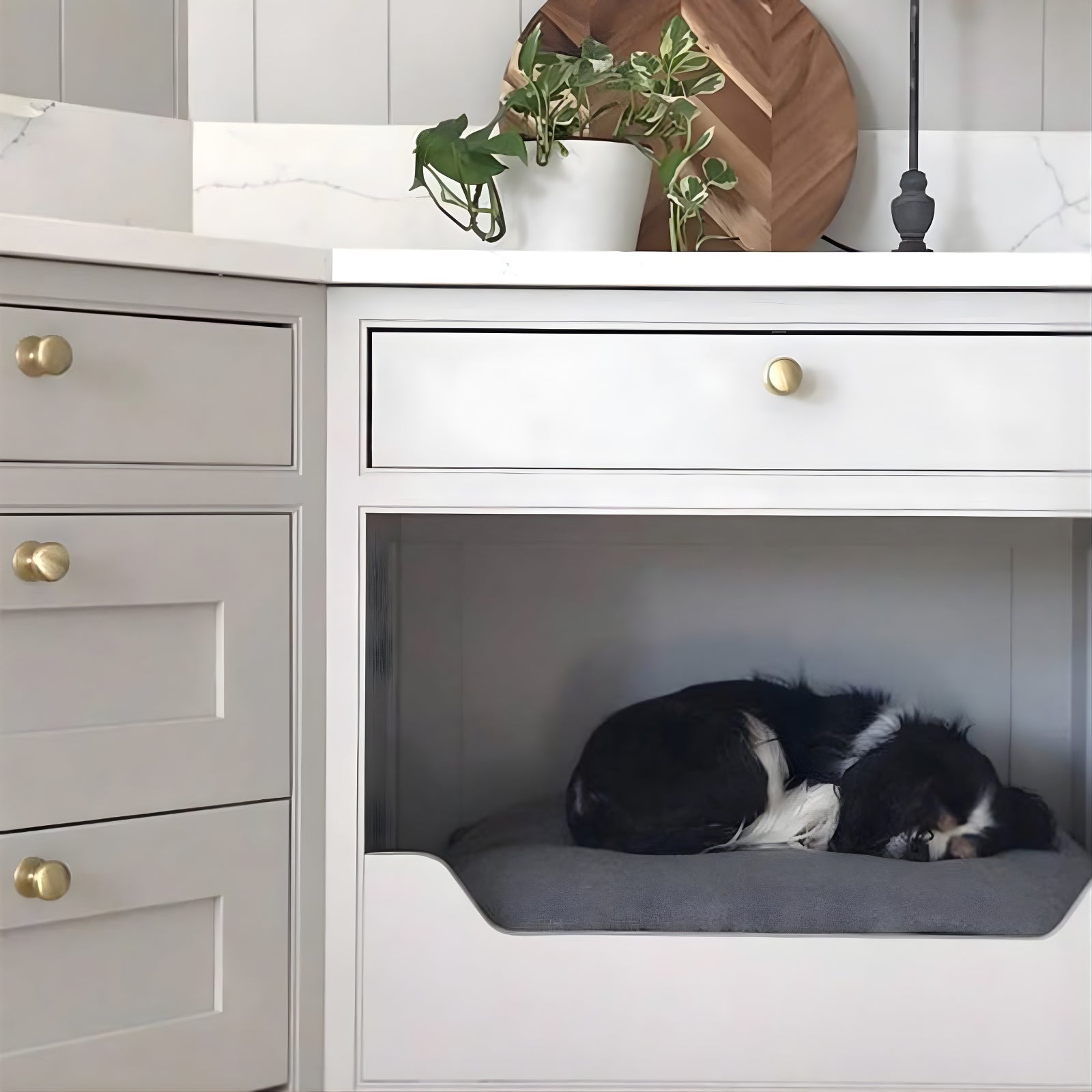 Lifestyle 1 Momo Handles New Hampton Round Knob 32mm Matt Brass NHMK032.MBR - The Blue Space