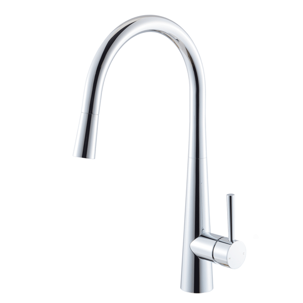 Seima Paloma Swivel Pullout Kitchen Mixer