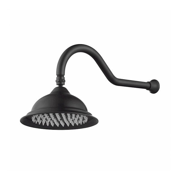 Modern National Bordeaux Shower Arm & Rose in Black - Online at The Blue Space