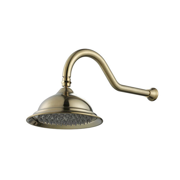 Modern National Bordeaux Shower Arm & Rose Brushed Bronze - Online at The Blue Space