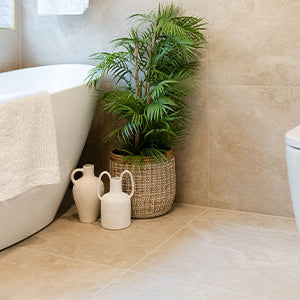 In the Market for a New Toilet? Here's What You Need to Know