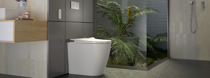 Why Choose a Caroma Bidet Suite?