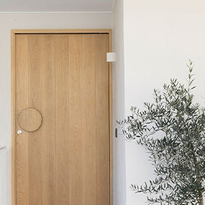 Elevate Your Home's Style with All New Doors