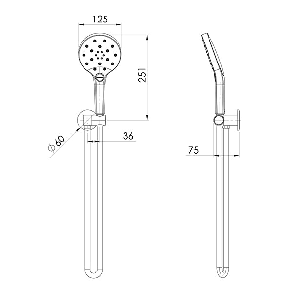 Phoenix Tapware Oxley Hand Shower Brushed Gold
