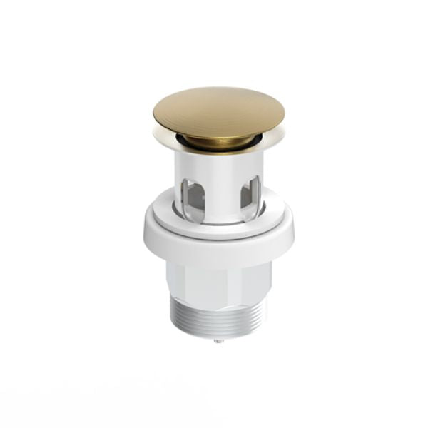 ADP Universal Mushroom Plug & Waste - Brushed Brass
