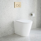 Nero In Wall Toilet Flush Plate and Buttons - Brushed Gold with Bao In Wall Toilet Suite