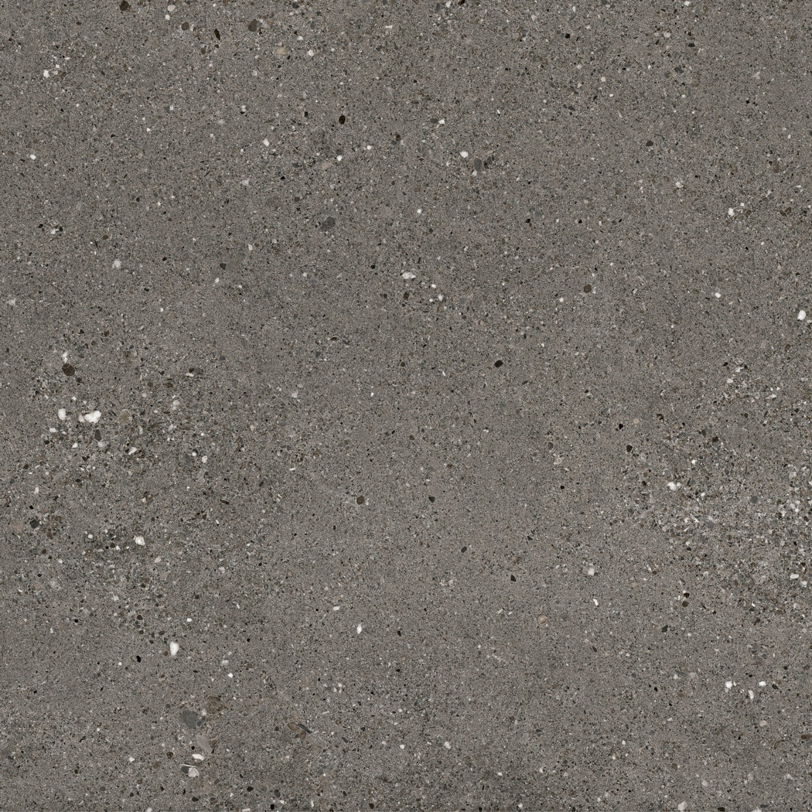 Dark Grey Frankie Polished Concrete Tile Matte R10 600 x 600 x 10mm Porcelain  | The Blue Space