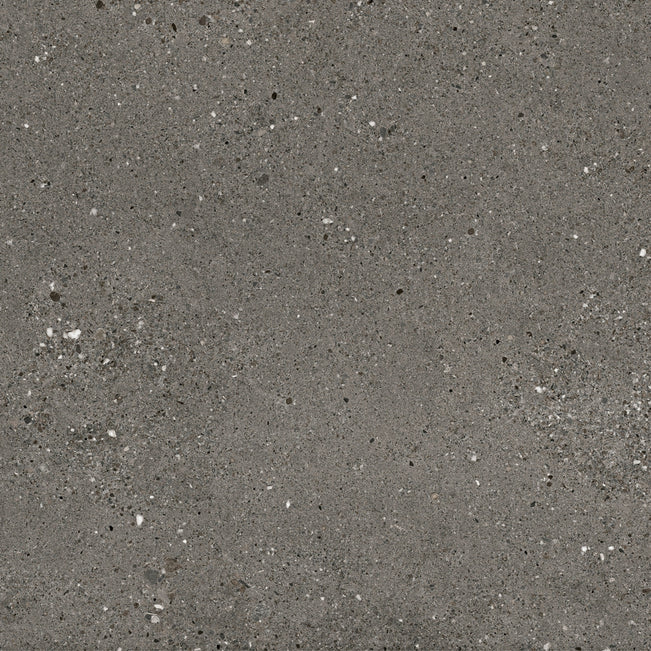 Dark Grey Frankie Polished Concrete Tile Matte R10 600 x 600 x 10mm Porcelain  | The Blue Space