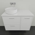 Marquis Palm3 Wall Hung Vanity - 900 Offset Bowl | The Blue Space