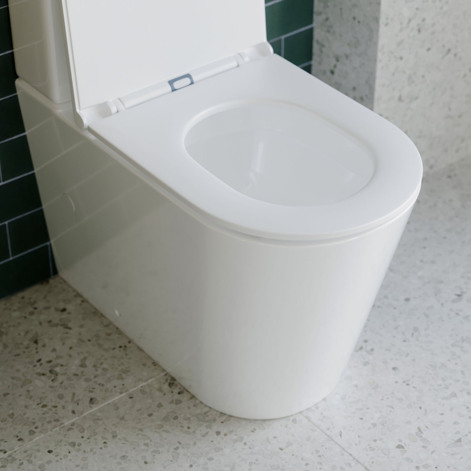 {"type":"root","children":[{"type":"paragraph","children":[{"type":"text","value":"What types of Rimless Toilets are there?"}]}]}