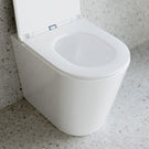Bao Elegant concealed toilet suite pan showing lid open - The Blue Space