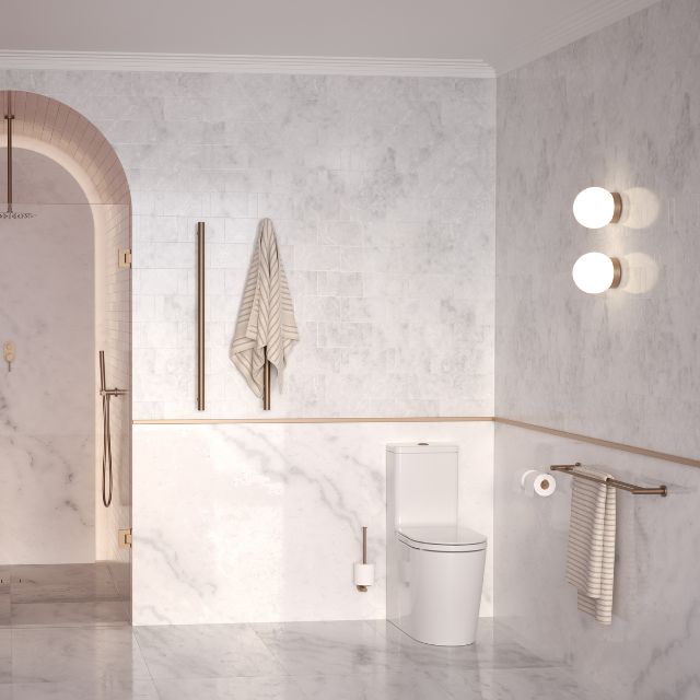 Lifestyle 1 Caroma Liano II Double Toilet Roll Holder - Brushed Bronze 96442BBZ - The Blue Space