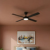 Ceiling Fans With Lights