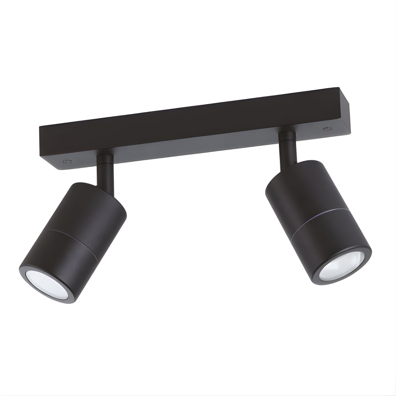 Eglo Fremantle 2 Light Adjustable Outdoor Ceiling Light Black 206155 - The Blue Space