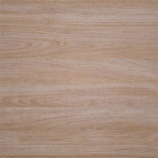 Elegant Oak Texture  Sample