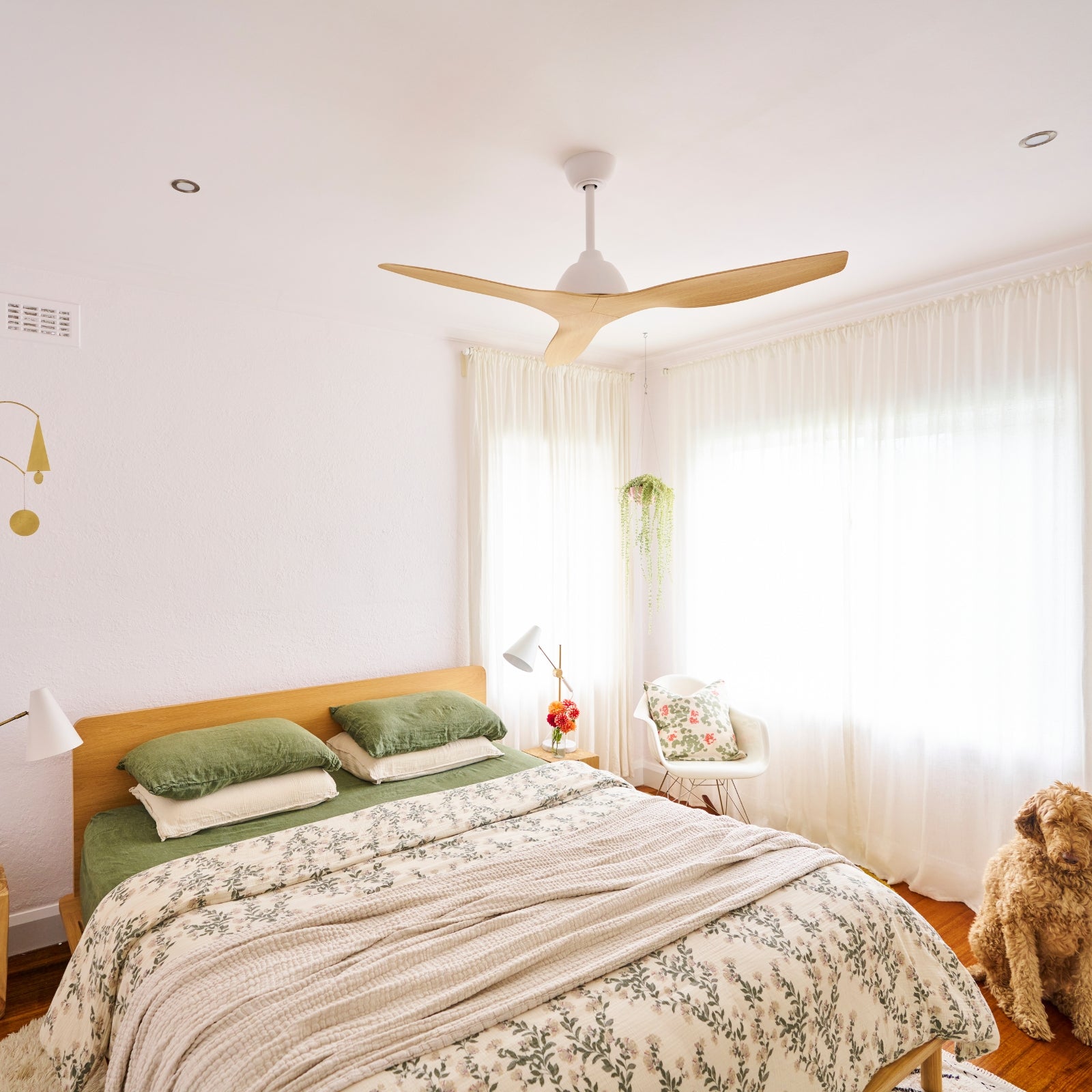 Lifestyle Fanco Breeze 48'' (122cm) AC Ceiling Fan - White and Beechwood F0110/121B - The Blue Space