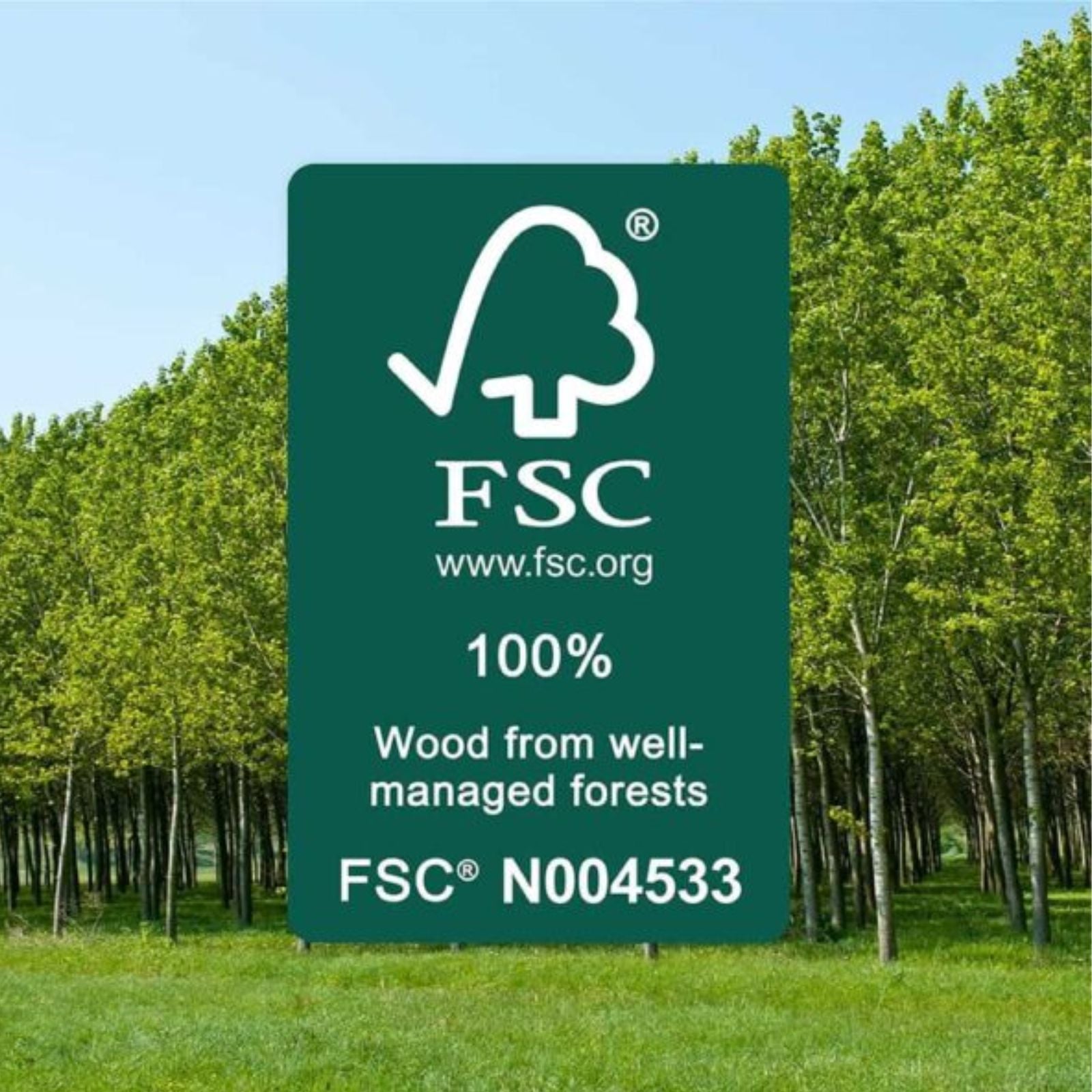 FSC Fanco EarthFirst Gaia 48" (122cm) DC Ceiling Fan with LED Light - Ecru and Natural Timber KF2201/619A - The Blue Space