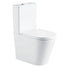 Fienza Aluca Tornado Flush Back-to-Wall Toilet Suite R&T Internal - P-Trap K314P - The Blue Space