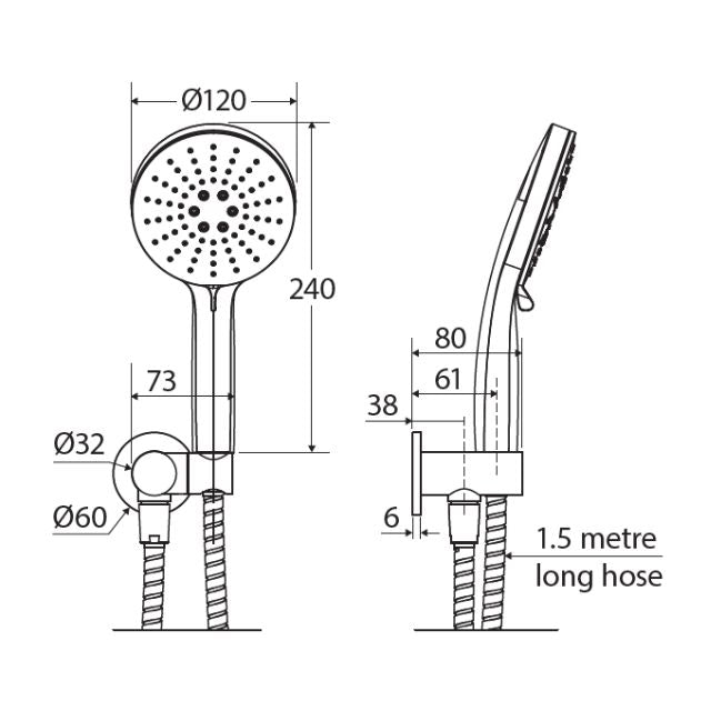 Fienza Empire Slim Hand Shower Round Plate Chrome
