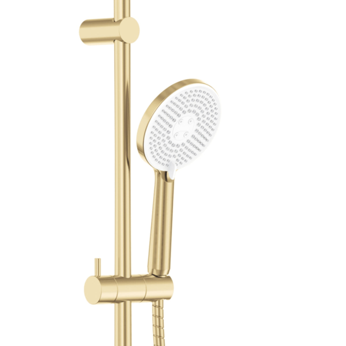 Close Fienza Kaya Retrofit Twin Shower - Urban Brass 455101UB - The Blue Space