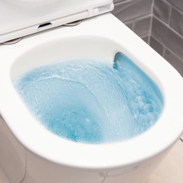 Fienza Koko Tornado Flush Back-to-Wall Toilet Suite GEBERIT Internal - P-Trap