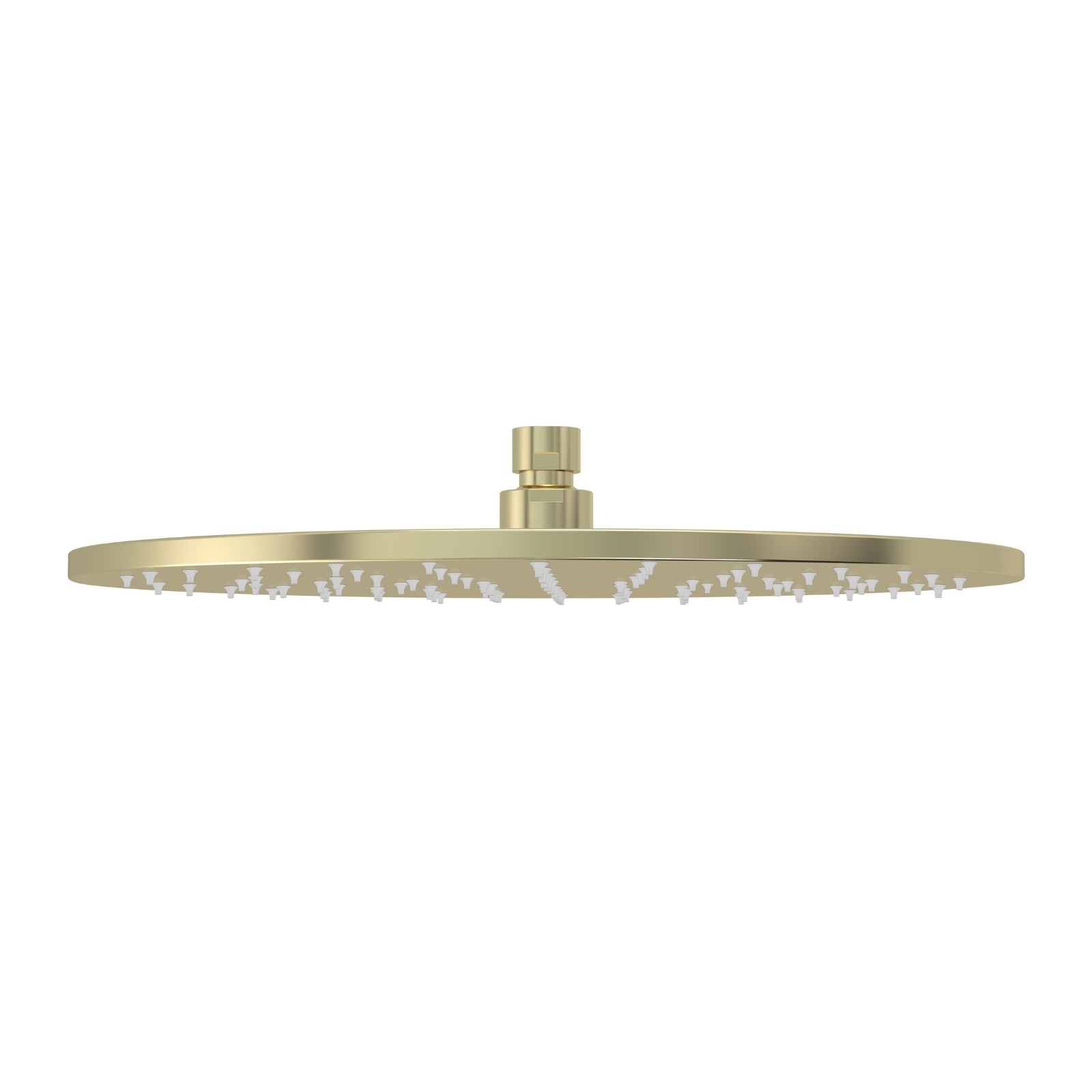 Meir Round Shower Rose 300mm Tiger Bronze MH06N-PVDBB - The Blue Space